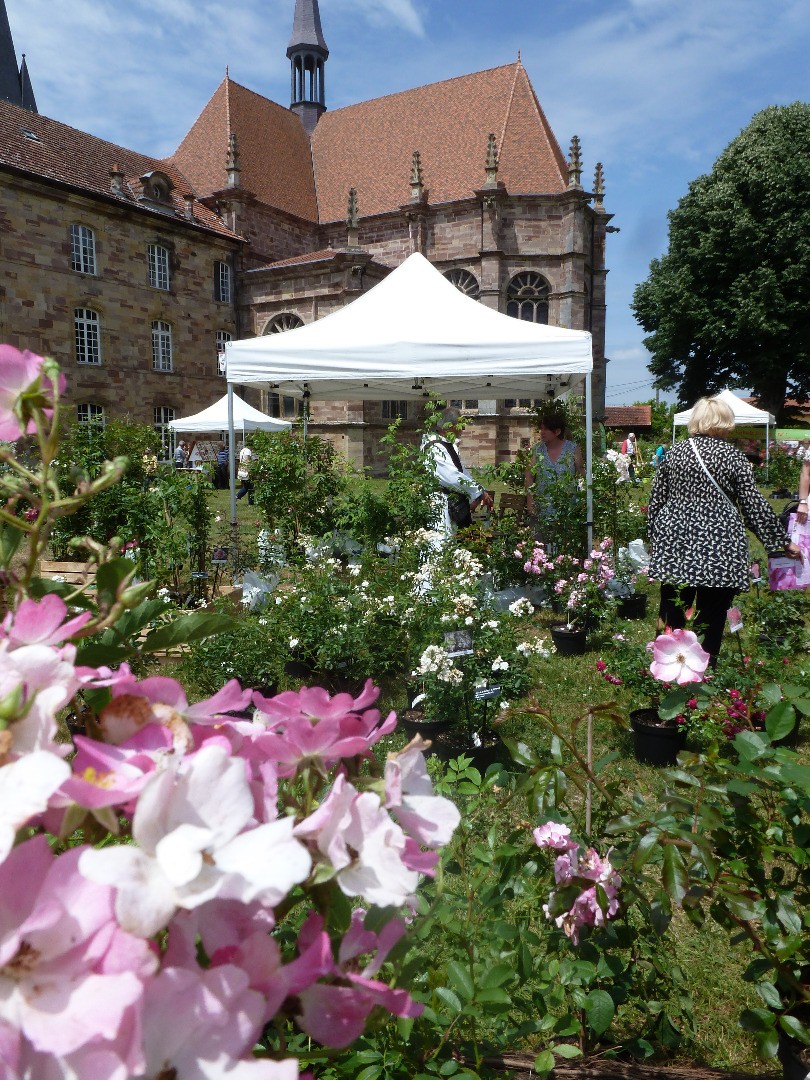 F Te Des Roses L Abbaye D Autrey Beaux Jardins Et Potagers