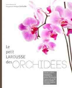 Le monde fascinant des orchidées en 80 genres