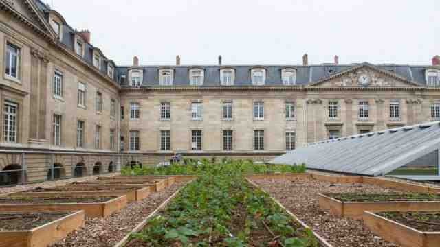 Vigne et potager... La nature s'invite sur le toit de l'Hôtel-de-Ville de Paris