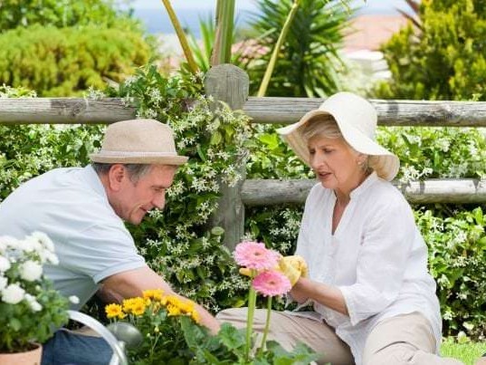Les bienfaits du jardinage pour les seniors