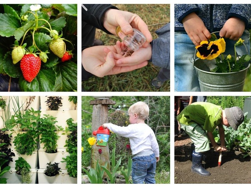  Jardinage : 1m² de jardin par enfant chez les grands-parents
