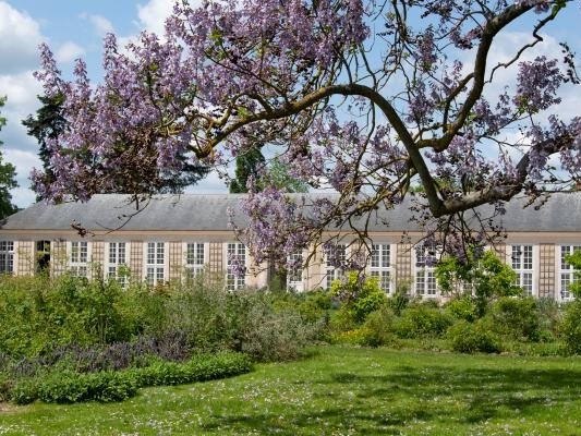 Rendez vous au jardin du parfumeur au Trianon à Versailles