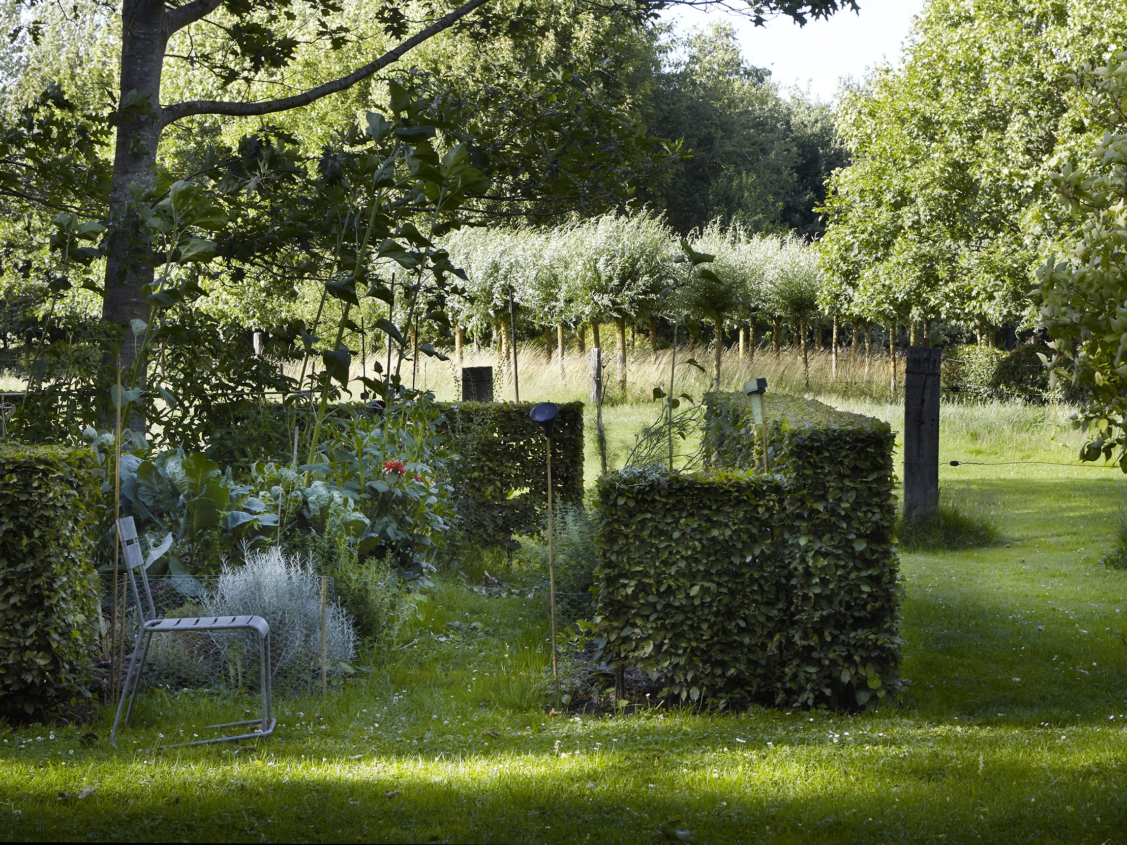 Conférences de l'Institut Européen des Jardins 