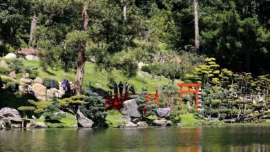 Jardins de pierres, pierres de jardins