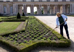 Un parterre éphémère pour célébrer les océans  au Grand Trianon