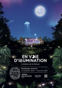 Le Jardin des Plantes de Paris éclairé la nuit à l'occasion des illuminations.