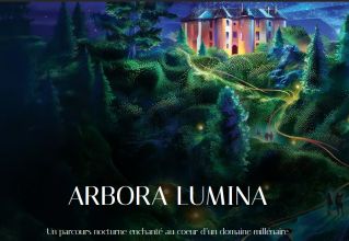 Prolongez la magie des fêtes avec Arbora Lumina