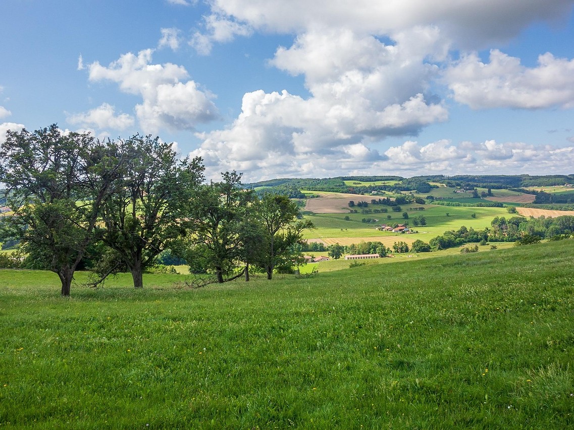 Conférence de l'Institut Européen des Jardins et Paysages