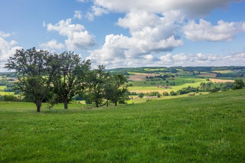 Conférence de l'Institut Européen des Jardins et Paysages