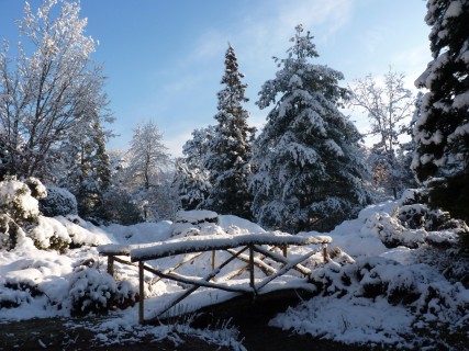 Arboretum des Grandes Bruyères sous la neige - février 2018