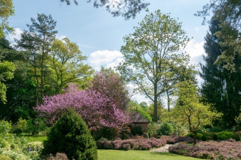 "Le printemps" à l'Arboretum des Grandes Bruyères