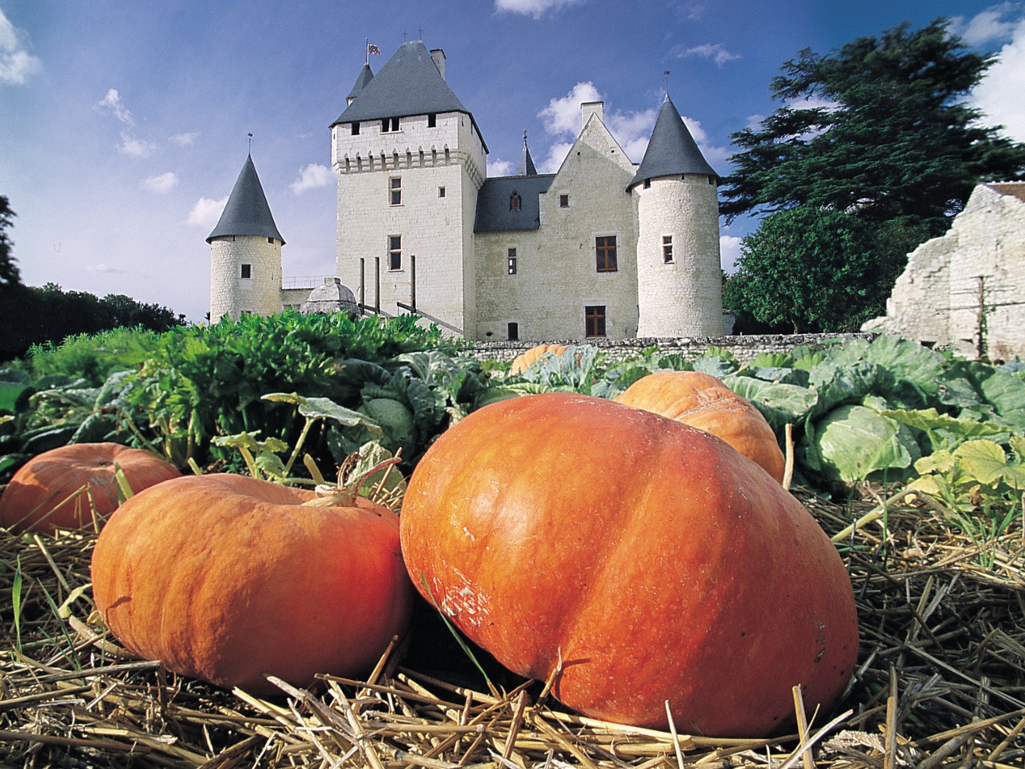 Les fleurs d'automne du château du Rivau : un festival de couleurs !