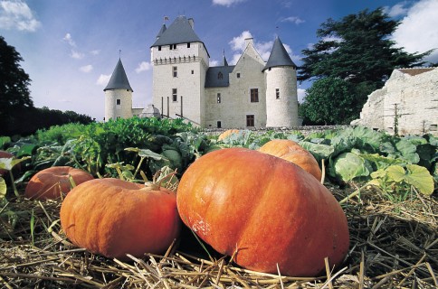 Les jardins du Château du Rivau