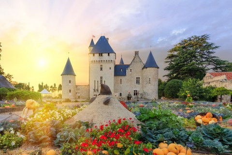 Potager du Château du Rivau