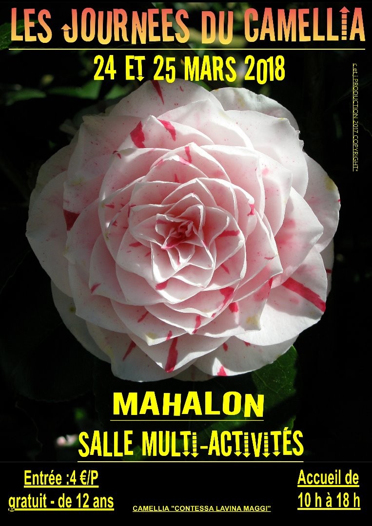 Les journées du camellia à Mahalon