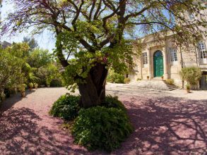 La plasticienne avignonnaise Éléonore Dadoit revisite les jardins de l'abbaye Saint-André