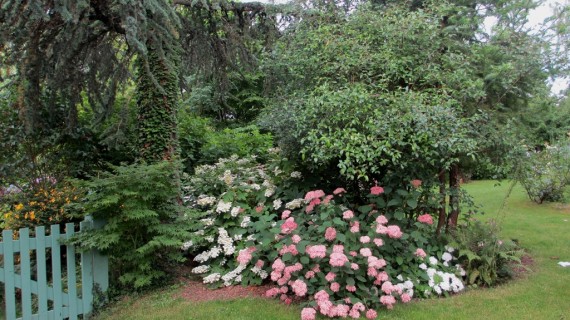 Portes ouvertes d'été du Jardin et collection Annabelle