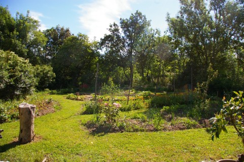 Visite commentée des jardins écologiques du Mas des faïsses