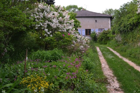 Spectacle déambulatoire "Normalement ça pousse" de la compagnie du bonhomme à ressort.