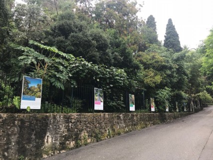 Les Jardins des Alpes-Maritimes  : une exposition de plein air