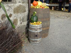 Fête de la Pomme et du cidre à la ferme de la ville oger