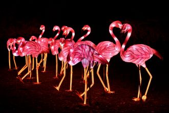 1er festival des lumières au jardin des plantes de paris : Espèces en voie d'illumination