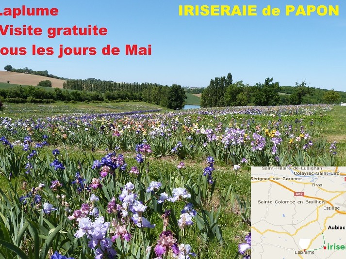 En Mai visitez l'Iriseraie de Papon