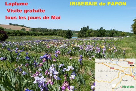 En Mai visitez l'Iriseraie de Papon