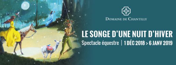 Songe d'une nuit d'hiver