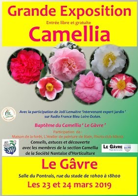 Grande exposition de Camellia