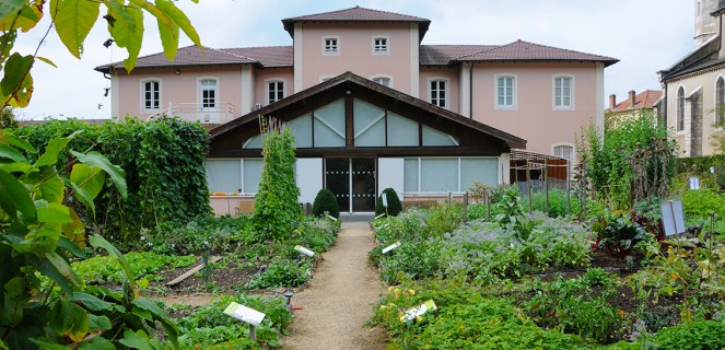 Visite commentée du jardin conservatoire du musée