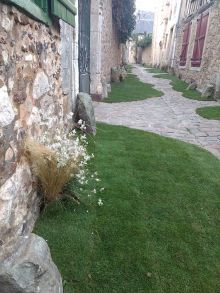 Fête des Plantes et de l'Art au Jardin