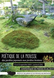 Poétique de la mousse