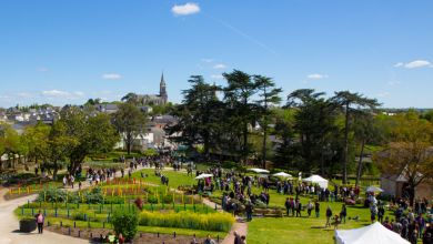 Le Marché aux Plantes sonne l'ouverture de la saison 2020 du Jardin Camifolia 