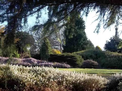 Portes ouvertes au Jardin Botanique des Montagnes Noires