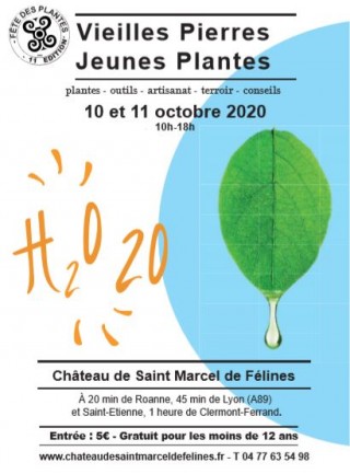 Vieilles Pierres, Jeunes Plantes les 10 et 11 octobre 2020