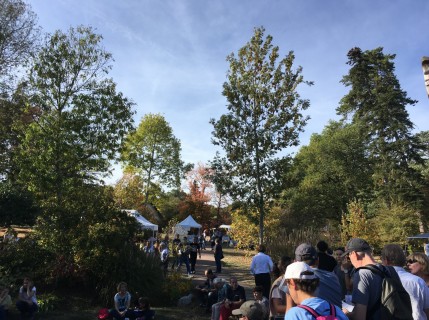 Journées de l'Arbre