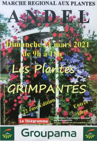 Marché régional aux Plantes