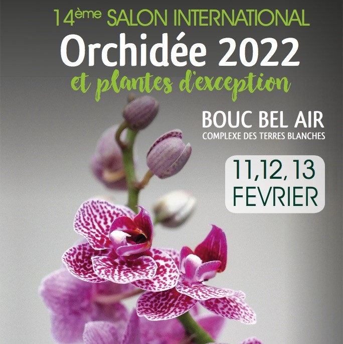 14ème édition - Salon International de l'Orchidée de Bouc Bel Air