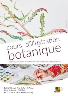 Les cours d'illustration botanique se poursuivent en 2022