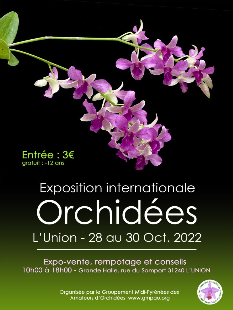 Exposition internationale d' orchidées à L'Union 31240
