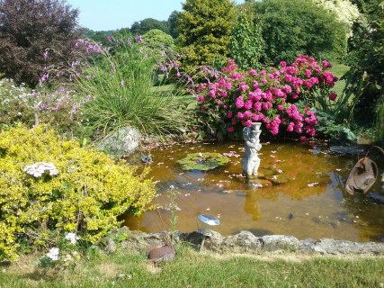 Le jardin face au changement climatique