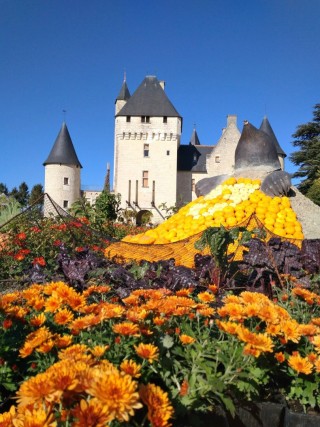 Fête des Fleurs d'automne