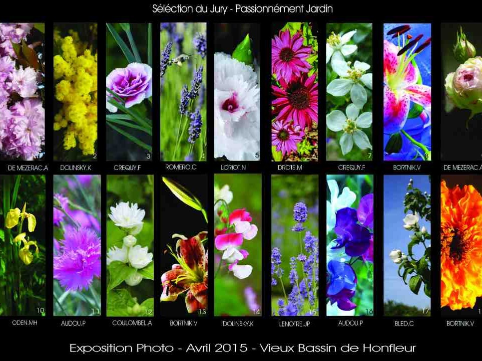 Expo Photos "Parfums de Fleurs" en Plein Air  sur le vieux bassin