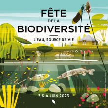 Fête de la biodiversité L'eau, source de Vie