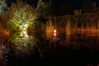Nocturnes au jardin