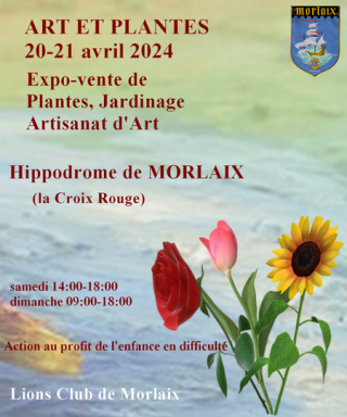 ART ET PLANTES Morlaix