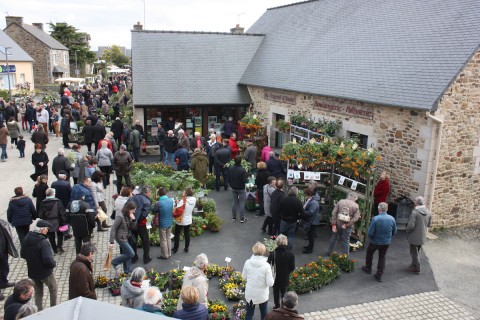 BOURSE / TROC AUX PLANTES