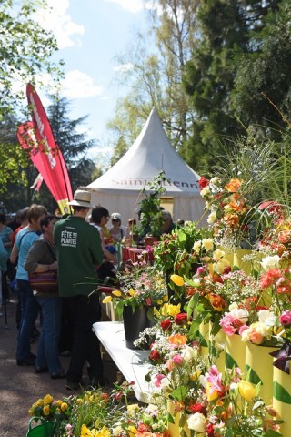 FETE DES PLANTES SAINT ETIENNE