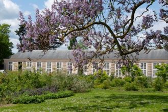 Rendez vous au jardin du parfumeur au Trianon à Versailles